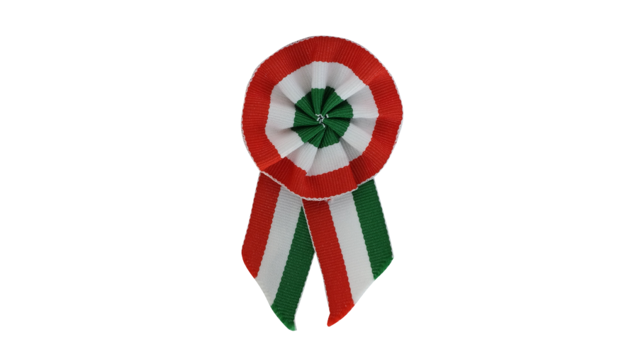 WHY DO HUNGARIANS WEAR A ROSETTE ON MARCH 15?